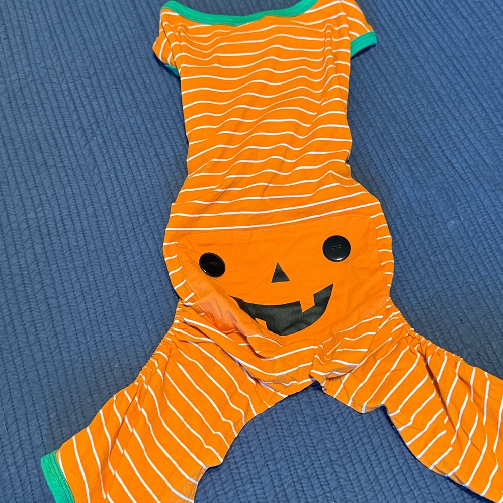 Orange pumpkin dog costume pajamas